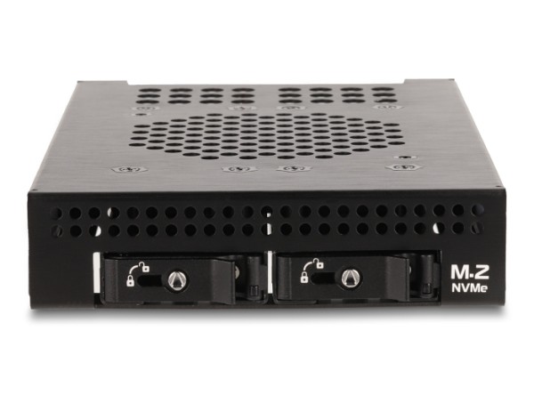 DELOCK 3.5 Wechselrahmen für 2 x M.2 NVMe SSD Slim SFF-8654 47117