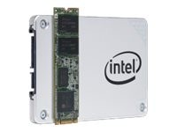 INTEL INTEL Pro 5400s SSD Series 120GB