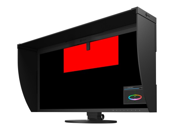 EIZO ColorEdge CG319X 79cm (31,1") CG319X