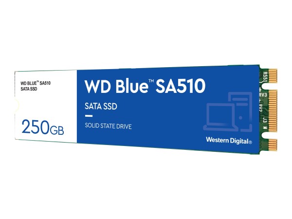 WESTERN DIGITAL WESTERN DIGITAL WD Blue SA510 250GB