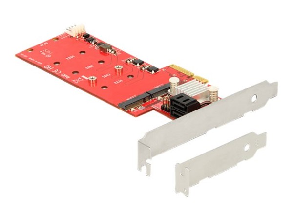 DELOCK DELOCK PCIe > 2 x M.2 NGFF + 2 x SATA RAID