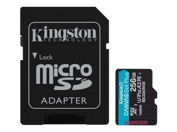 KINGSTON KINGSTON Canvas Go Plus Gen4 256GB