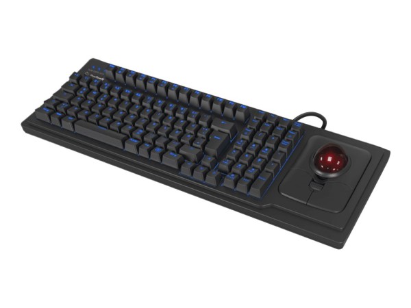 KEYSONIC KEYSONIC TAS KSK-8202ELU-T (DE) Trackball schwarz