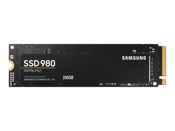 SAMSUNG SAMSUNG 980 EVO Basic 250GB