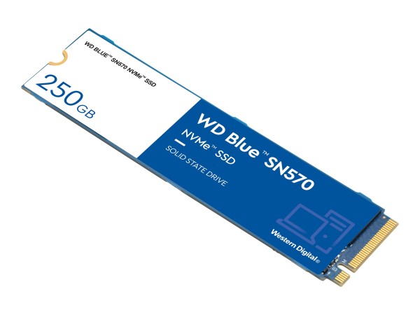 WESTERN DIGITAL WESTERN DIGITAL Blue SSD SN570 NVMe 250GB