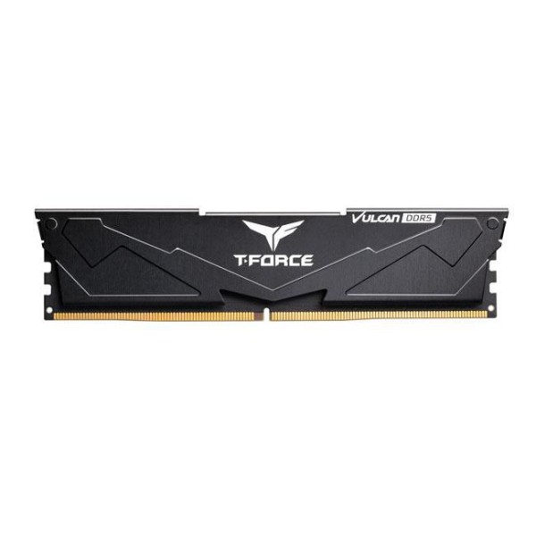TEAM GROUP FLBD564G5200HC40CDC01 64GB Kit (2x32GB) FLBD564G5200HC40CDC01