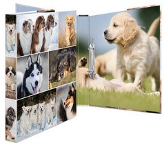 HERMA Ringbuch "Animals" - Hunde, DIN A4, 2-Ring-Mechanik