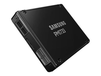 SAMSUNG SAMSUNG PM1733 3,84TB