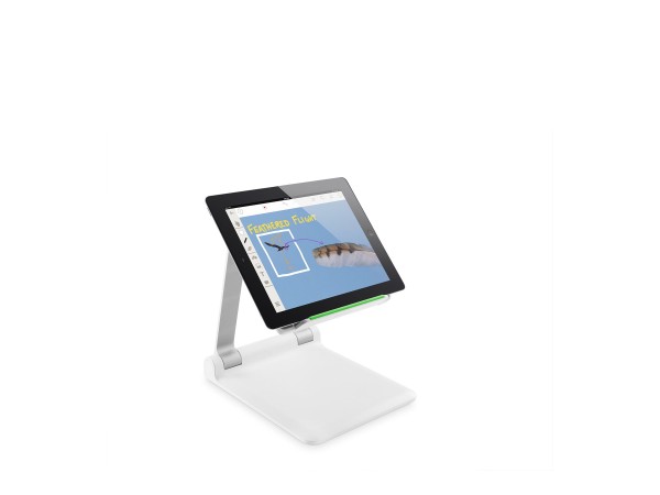 BELKIN BELKIN PORTABLE TABLET STAGE