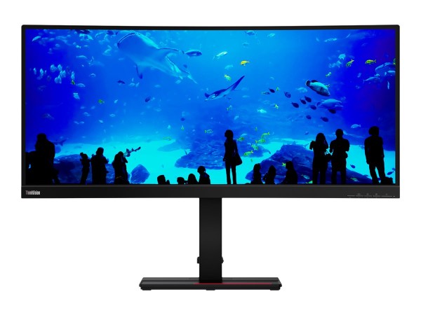 LENOVO ThinkVision T34w-20 86,4cm (34") 61F3GAT1EU