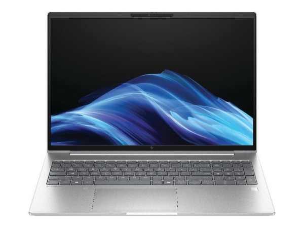 HP HP EliteBook 6 G1a 35,6cm (14") AMD Ryzen 7 250 32GB 1TB W11P