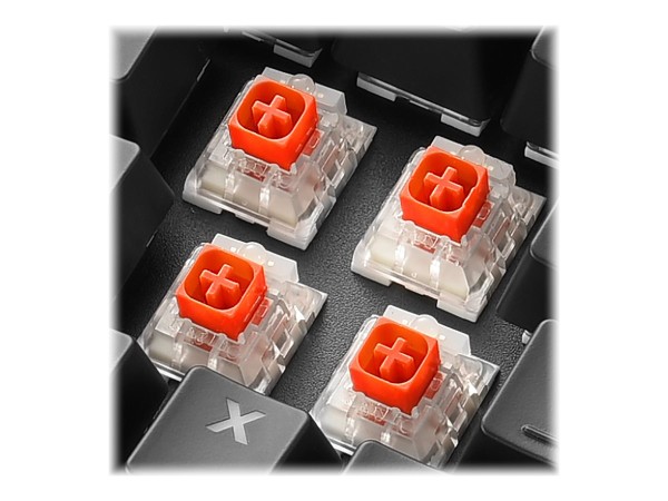 SHARKOON SGK60 Kailh BOX RED IT 4044951033522