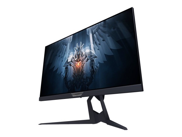 GIGABYTE Aorus FI25F 62,23cm (24,5") FI25F