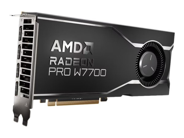 AMD Radeon Pro W7700 16GB 100-300000006
