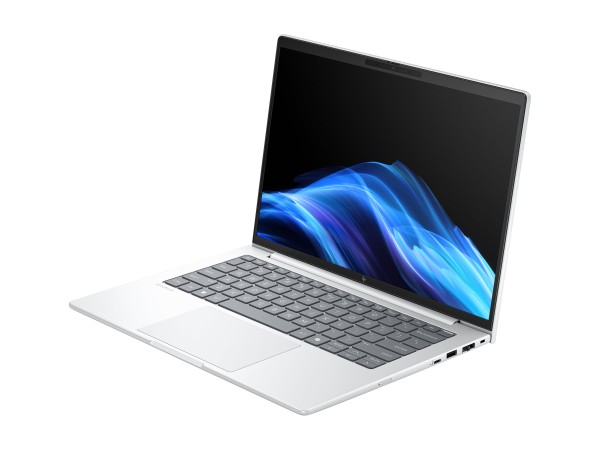 HP HP EliteBook 8 G1a 35,6cm (14") AMD Ryzen 7 250 32GB 512GB W11P