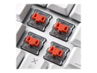 SHARKOON SHARKOON PureWriter TKL RGB, Mechanische Gaming-Tastatur mit Kailh Red-Schaltern, Stufenlos regulier SHARKOON SHARKOON PureWriter TKL RGB, Mechanische Gaming-Tastatur mit Kailh Red-Schaltern, Stufenlos regulier