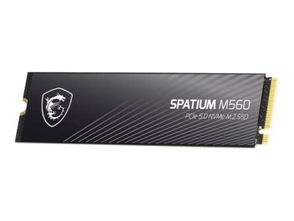 MSI Spatium M560 2TB S78-440Q940-P83