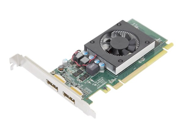 LENOVO LENOVO AMD Radeon 520 2GB