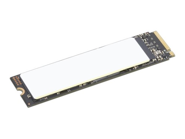LENOVO LENOVO 4XB1N36075 1TB