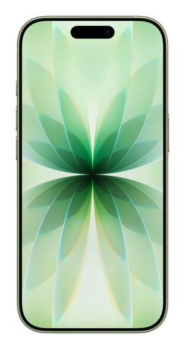 APPLE APPLE iPhone 17 - Indian Spec - Sage