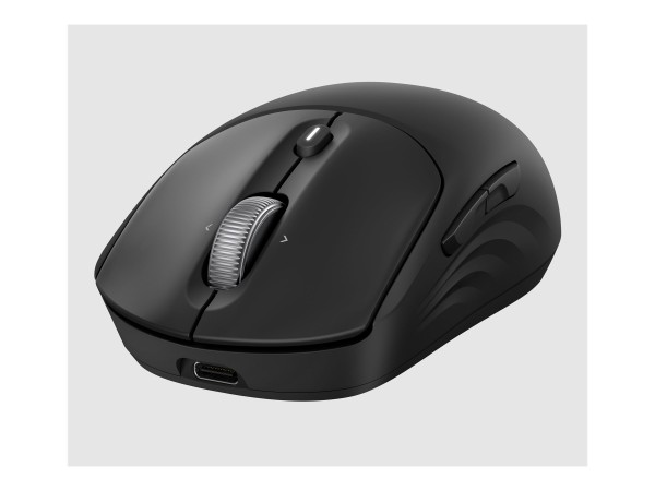 HP HP 705 Rechargeable Wireless Mouse