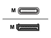 VERTIV AVOCENT SwitchView 3M 10ft USB-C PC to Dual Display DP KVM adapter cable