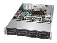 SUPERMICRO Barebone SuperStorage Server SSG-5028R-E1CR12L SSG-5028R-E1CR12L
