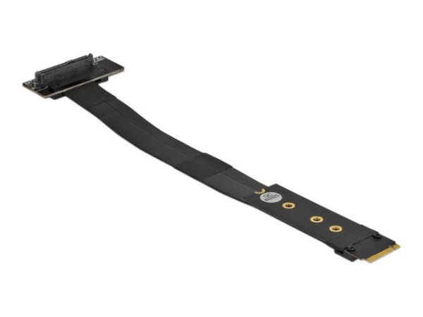 DELOCK M.2 Key M>U.2 SFF-8639 NVMe gew. | +20cm Kabel 64135