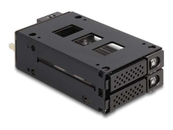 DELOCK Slim Bay Wechselrahmen für 2 x 2.5 U.2 NVMe SSDSD 47019