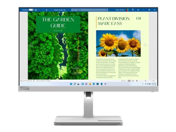 LENOVO LENOVO L24m-40 60,5cm (23,8")