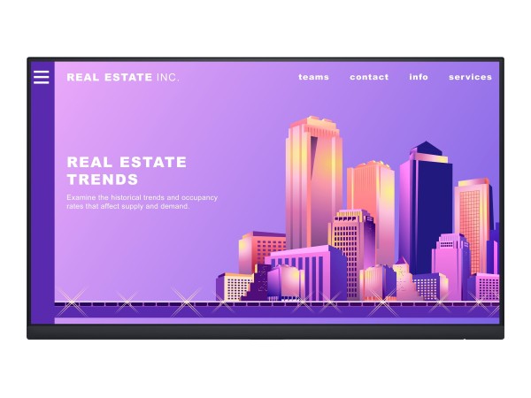 DELL DELL P2422H 61cm (24") Ohne Standfuß