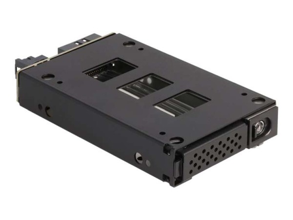 DELOCK Slim Bay Wechselrahmen für 1 x 2.5 U.2 NVMe SSD 47005