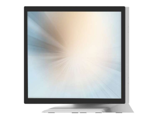 MICROTOUCH DT-170P-M1 43,2cm (17") DT-170P-M1