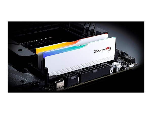 G.SKILL F5-5600J4040D48GX2-RM5RW 48GB Kit (2x24GB) F5-5600J4040D48GX2-RM5RW