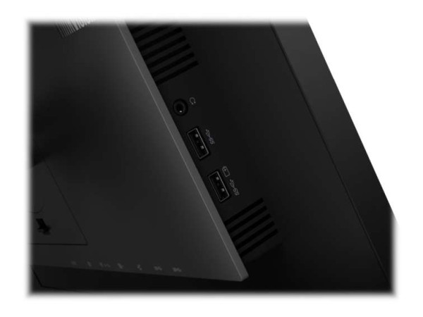 LENOVO ThinkVision P24h-2L 61cm (24") 62B2GAR1WW