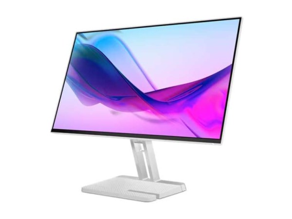 LENOVO L24i-4a 60,5cm (23,8") 67BCKAC6EU