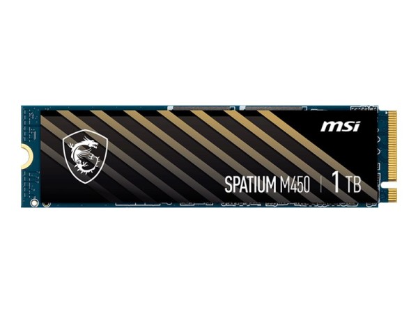 MSI MSI SPATIUM M450 1TB
