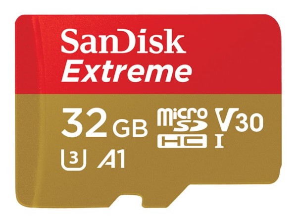 WESTERN DIGITAL SANDISK microSDHC ActionSC 32GB