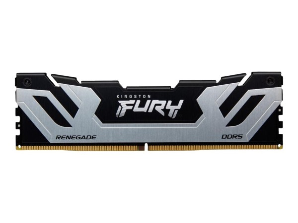 KINGSTON KINGSTON FURY Renegade Silver 48GB