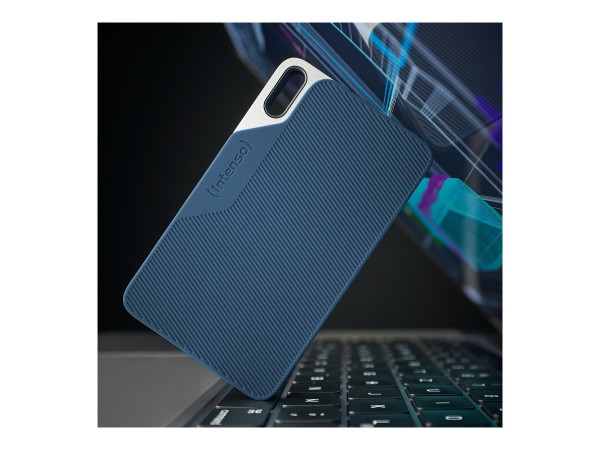 INTENSO INTENSO Intenso TX100 250GB