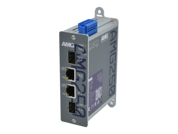 AMG SYSTEMS AMG SYSTEMS Medienkonverter AMG AMG250-2GBT-2S-P180 retail