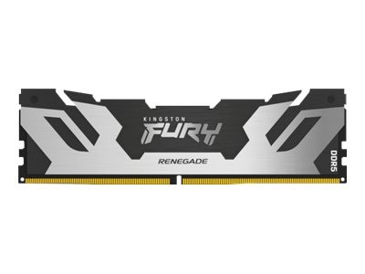 KINGSTON FURY Renegade Silver 48GB KF560C32RS-48