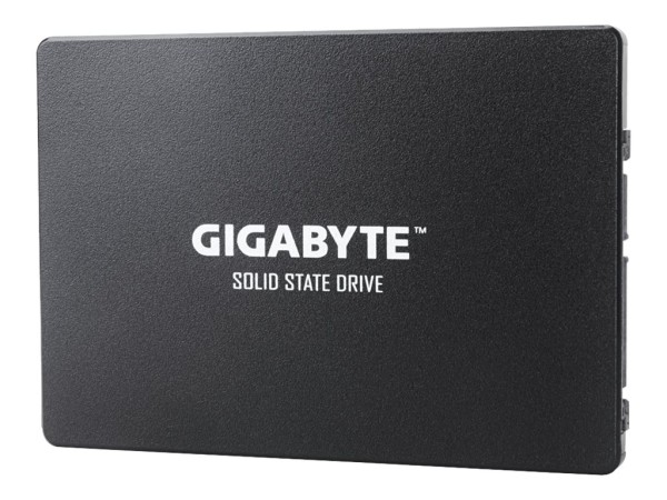 GIGABYTE GIGABYTE GSTFS31100 1TB