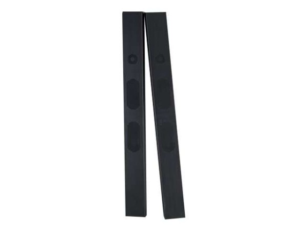 NEC Speaker SP-TF1 Removable speaker set fuer alle LFDs 100013520