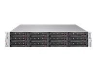 SUPERMICRO SUPERMICRO SuperStorage Server SSG-6029P-E1CR12H