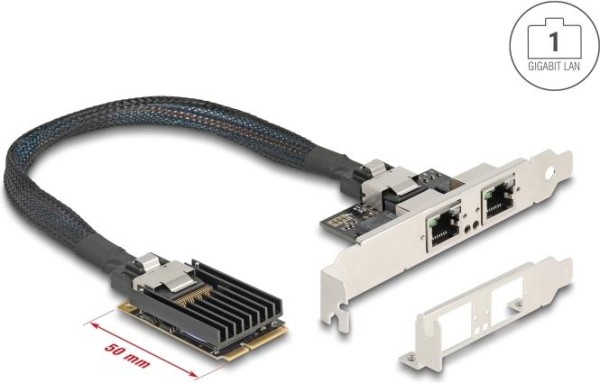 DELOCK DELOCK Mini PCIe I/O PCIe full size 2 x RJ45 Gigabit LAN