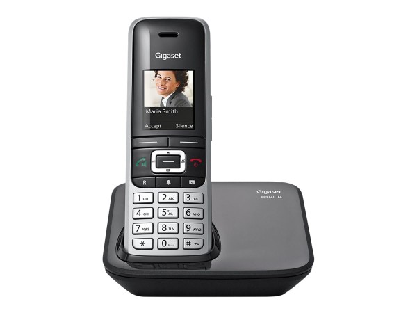 GIGASET PREMIUM 100 platin/schwarz int. S30852-H2605-C111