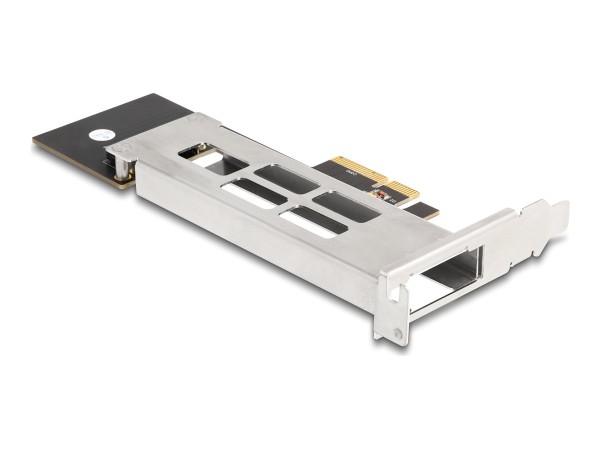 DELOCK Wechselrahmen PCI Express Karte fur 1 x M.2 NMVe SSD - Low Profile F 47028