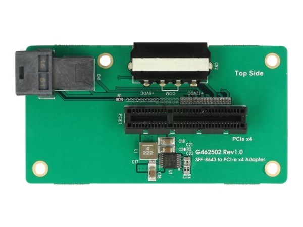 DELOCK DELOCK Adapter SFF-8643 > PCIe x4 - Inte