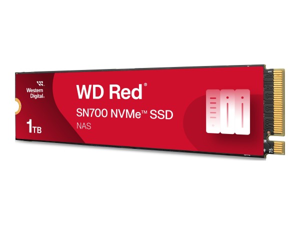 WESTERN DIGITAL WESTERN DIGITAL SSD Red SN700 1TB